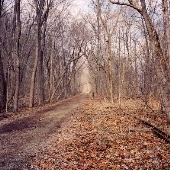 Susquehanna State Park - Greenway Trail