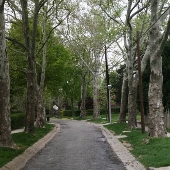 Cedarcroft Road @ Pinehurst Road