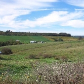 Accident Friendsville Road