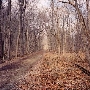 Susquehanna State Park - Greenway Trail