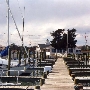 Cobb Island