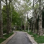 Cedarcroft Road @ Pinehurst Road