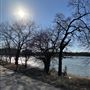 Ferry Bar Park