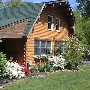 Log Cabin