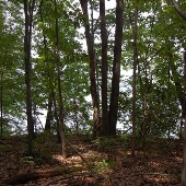 Liberty Reservoir