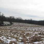 Patapsco Valley State Park, Mckeldin Area - Gorsuch Switch/Henryton Road
