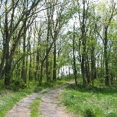 Monacacy River NRMA - Ed Sears Road