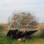Abandoned Crab House