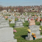 Saint Stanislaus Cemetery