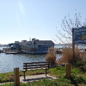 Thursday's Steak & Crab House