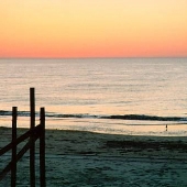 Assateague State Park