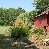 Sinking Springs Herb Farm and Retreat