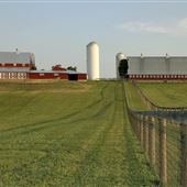 Tusculum Farm