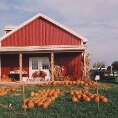 Briar Ridge Farm