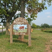Ray - Lin Farms