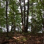 Liberty Reservoir