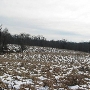 Patapsco Valley State Park, Mckeldin Area - Gorsuch Switch/Henryton Road