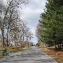 Sharp Road