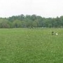 Herring Run Park