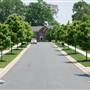 Harford Green
