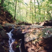 Loch Raven Reservoir - "Dulaney Gate" Fire Road off of Pot Springs Road