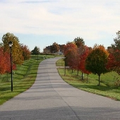 Cottage Farm Estates