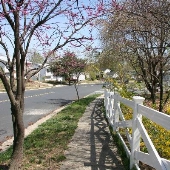 Odenton - The Provinces Neighborhood