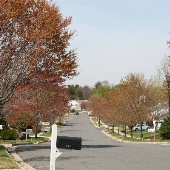 Odenton - Ridgefield Neighborhood