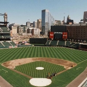 Oriole Park @ Camden Yards, Field Interior