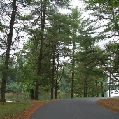 Loch Raven Drive