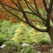 Hagerstown City Park