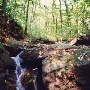 Loch Raven Reservoir - "Dulaney Gate" Fire Road off of Pot Springs Road