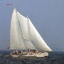 Schooner Woodwind