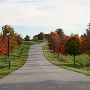 Cottage Farm Estates