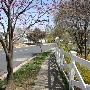 Odenton - The Provinces Neighborhood