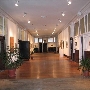 Gallery 447