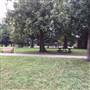 Franklin Square