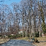 Wineberry Court