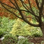 Hagerstown City Park