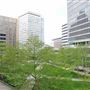 Hopkins Plaza Area