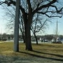 Cole Road Marina