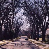 Kenmore Road