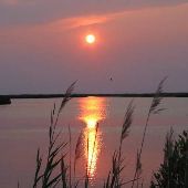 Eastern Shore Texture - Elliott Island Sunset