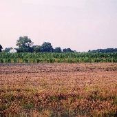 Farm on Sandy Farm Road