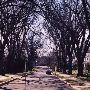 Kenmore Road