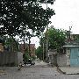Tiffany Alley
