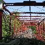 Bollman Truss Suspension Bridge