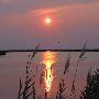 Eastern Shore Texture - Elliott Island Sunset
