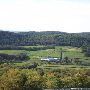 Cove Run Farm