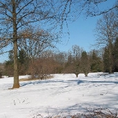 Gwynns Falls Leakin Park